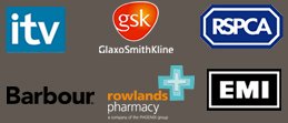 ITV, GlaxoSmithKline, RSPCA, Barbour, Rowlands Pharmacies, EMI